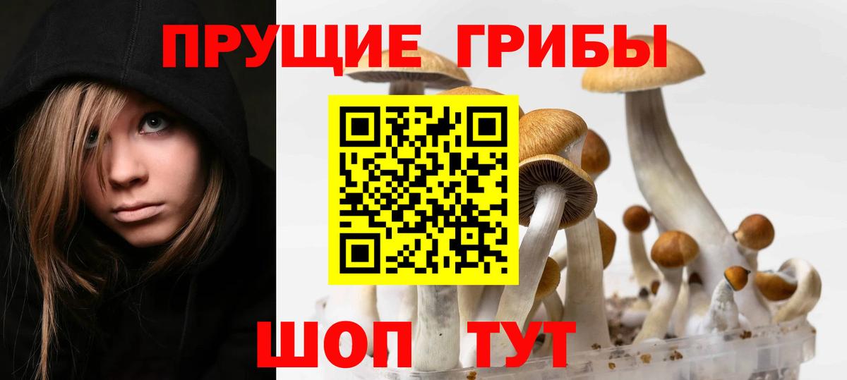 Галлюциногенные грибы Psilocybe  Галлюциногенные грибы GOLDEN TEACHER  Вход с VPN  Краснодар 